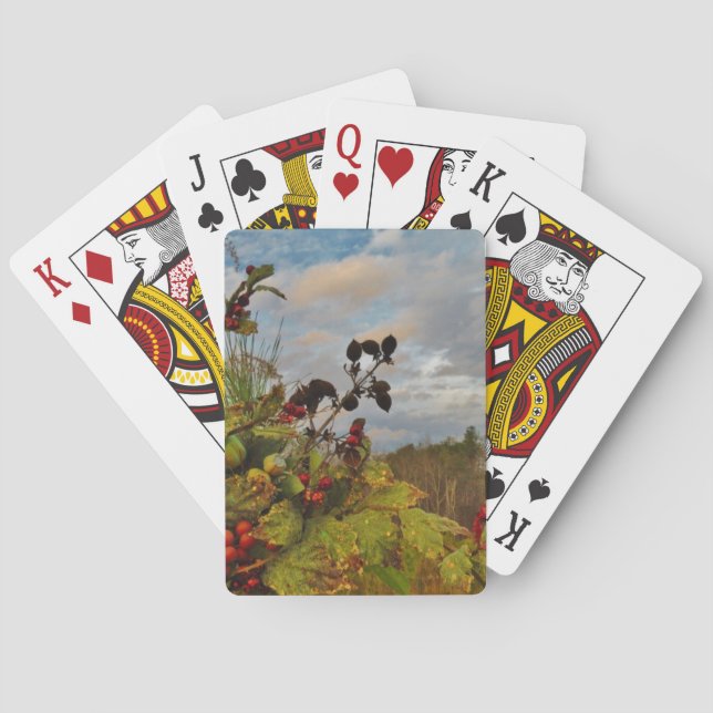 Jeu De Cartes Elegant Holly Christmas, (dos)