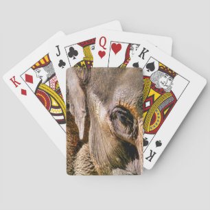 JEU DE CARTES ÉLÉPHANT