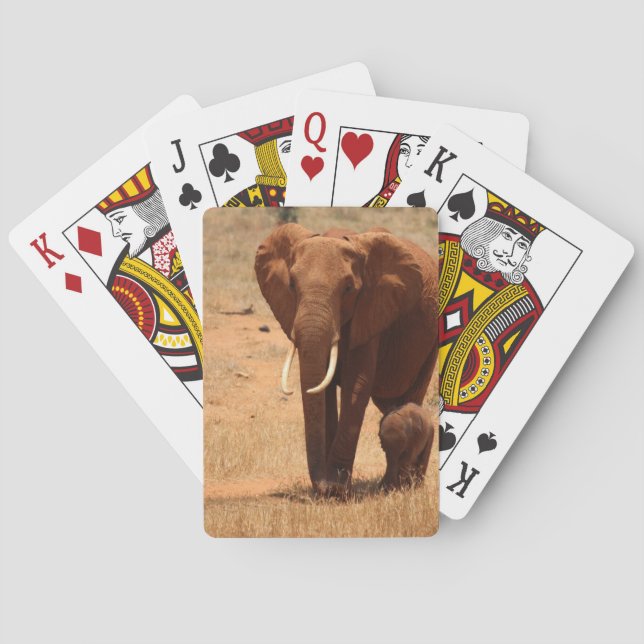 Jeu De Cartes Eléphant (dos)