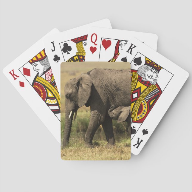 Jeu De Cartes Éléphants africains (dos)