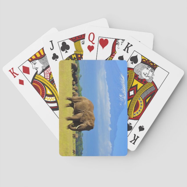 Jeu De Cartes Eléphants d'Amboseli (dos)