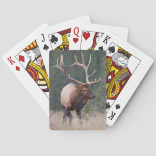 Jeu De Cartes Elk de montagne Rocky