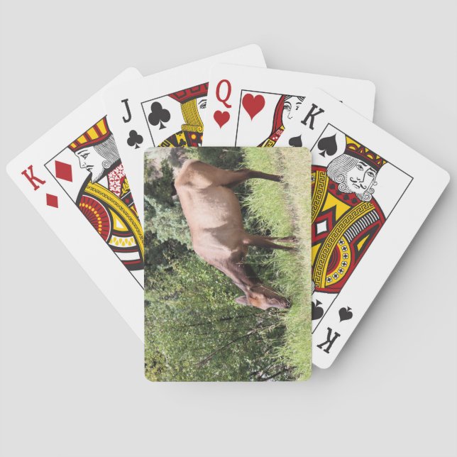 Jeu De Cartes Elk de pâturage, Springs de mammouth, Yellowstone (dos)