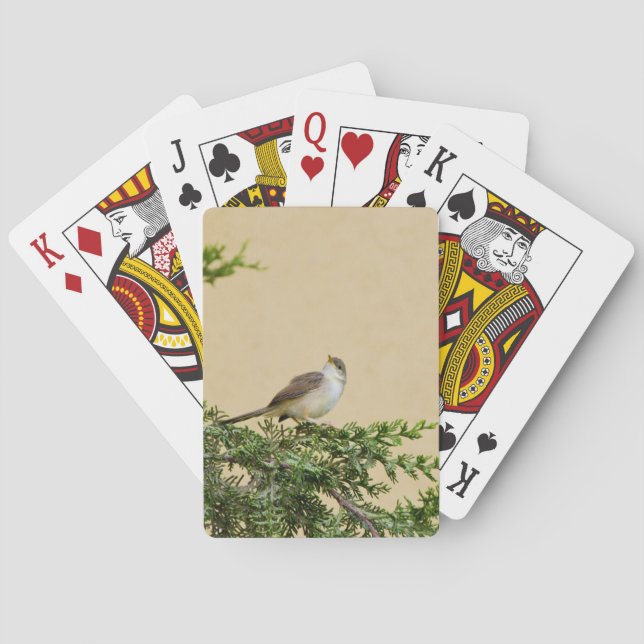 Jeu De Cartes Épervier (dos)