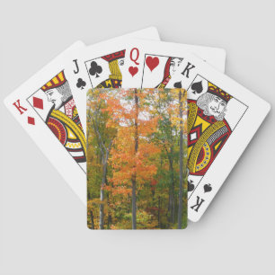 Jeu De Cartes Érables en automne Photographie de la nature
