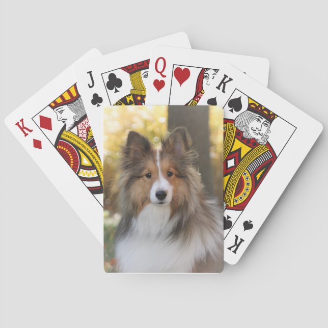 Jeu De Cartes Étagère Lecture Cartes (dos)