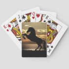 Étalon dans le coucher du soleil