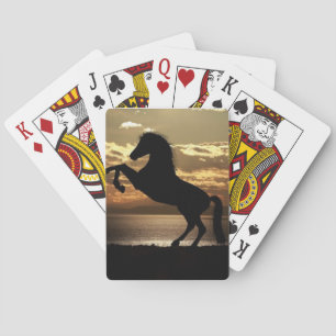 Jeu De Cartes Étalon dans le coucher du soleil