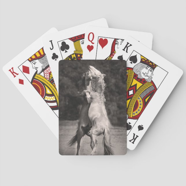 Jeu De Cartes Étalons de danse (dos)