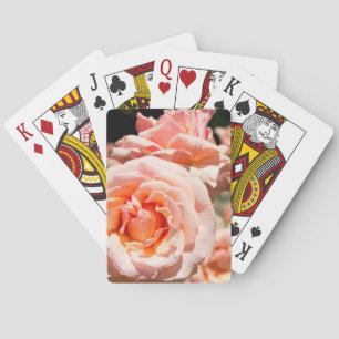 Jeu De Cartes États-Unis, Alabama, Theodore près de Mobile 5