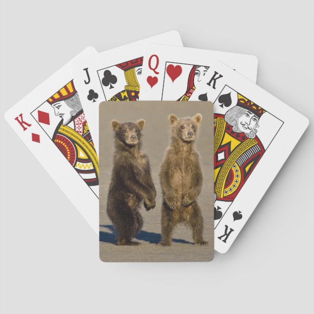 Jeu De Cartes États-Unis Alaska. Cubes d'ours Brown côtier (dos)
