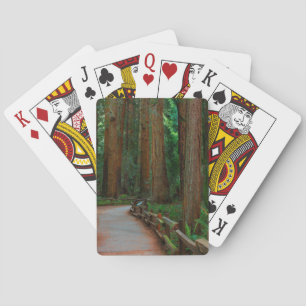Jeu De Cartes États-Unis, Californie. Chemin parmi les séquoias