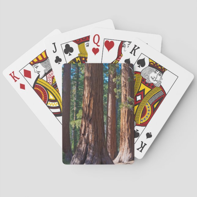Jeu De Cartes États-Unis, Californie. Troncs de séquoia, Maripos (dos)