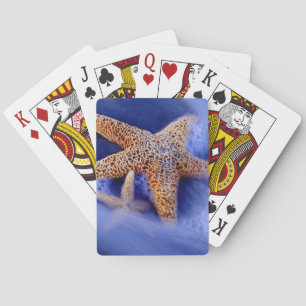 Jeu De Cartes États-Unis, Caroline du Sud, Hilton Head Island. D