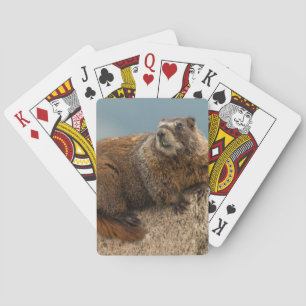 Jeu De Cartes États-Unis, Colorado, Montagnes San Juan 2