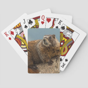 Jeu De Cartes États-Unis, Colorado, Monts San Juan 2