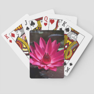 Jeu De Cartes États-Unis, Kansas, Nénuphar rouge vif