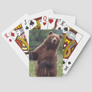 Jeu De Cartes États-Unis, sud-est de l'Alaska, ours brun et ours