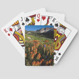 Jeu De Cartes États-Unis, Utah, Forêt nationale d'Uinta-Wasatch-