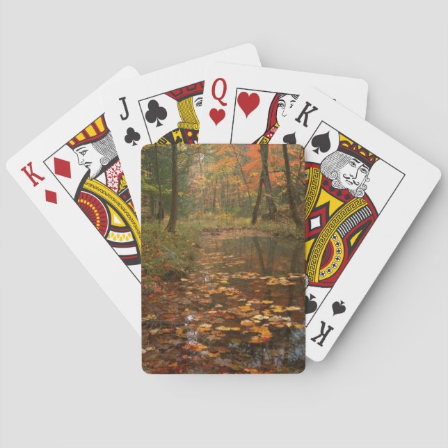 Jeu De Cartes États-Unis, Virginie, Automne Dans Le Douthat Stat (dos)