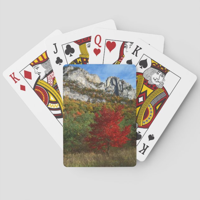 Jeu De Cartes États-Unis, Virginie-Occidentale, Rochers de Spruc (dos)