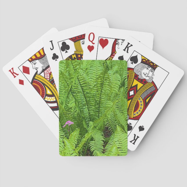 Jeu De Cartes États-Unis, Washington, Seattle, Washington Park (dos)