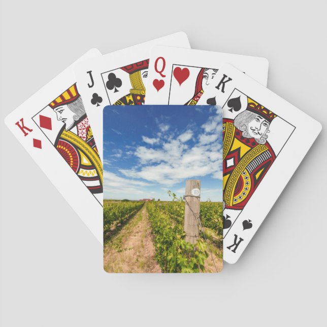 Jeu De Cartes États-Unis, Washington, Walla Walla. Cabernet Sauv (dos)
