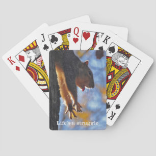Jeu De Cartes Étirage de l'écureuil 2