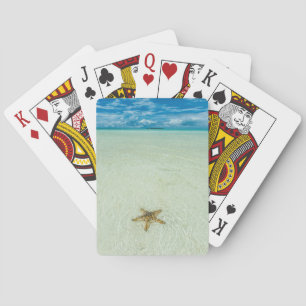 Jeu De Cartes Étoile marine dans les eaux peu profondes, Palau