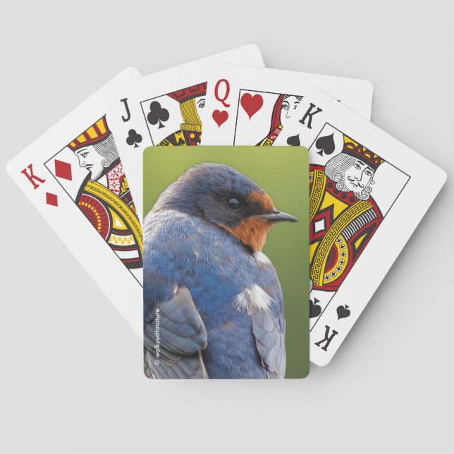 Jeu De Cartes Étonnante écorce d'hirondelle sur une branche (dos)