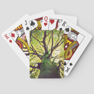 Jeu De Cartes Étreindre d'arbre