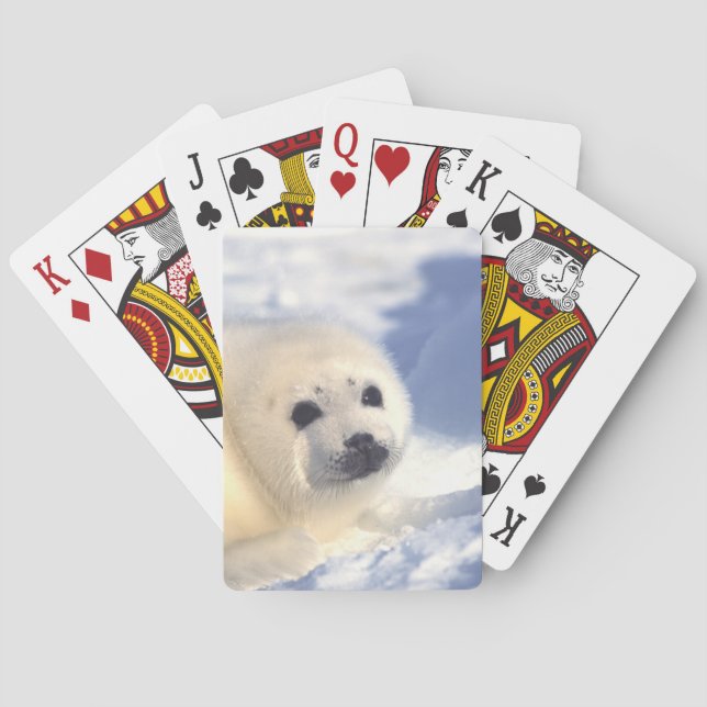 Jeu De Cartes Face de joint (dos)