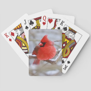 Jeu De Cartes Faire_Cartes_Cardinales