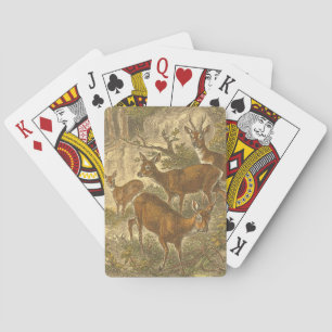 Jeu De Cartes Famille de Roe - Cerfs dans une forêt