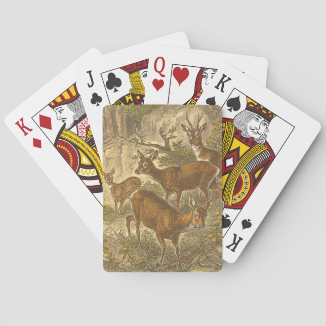 Jeu De Cartes Famille de Roe - Cerfs dans une forêt (dos)