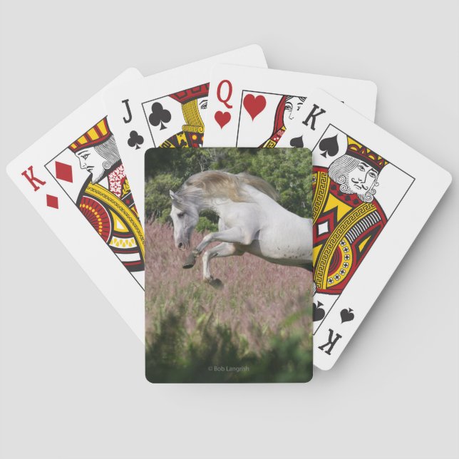 Jeu De Cartes Fantasy Horses Gallop (dos)