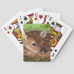 Jeu De Cartes Faon de Cerf à queue blanche âgé de deux jours, Ke