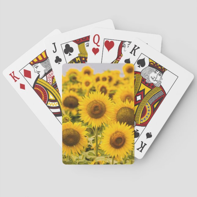 Jeu De Cartes Farms | A Sunflower (dos)
