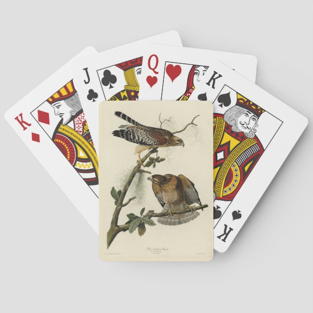 Jeu De Cartes Faucon à épaulettes - Audubon's Birds of America (dos)