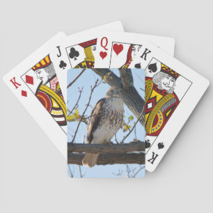 Jeu De Cartes Faucon coupé la queue par rouge en vol