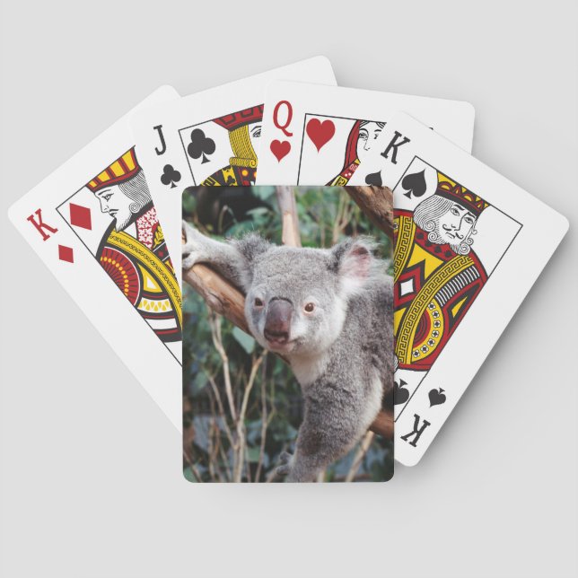 Jeu De Cartes Featherdale Wildlife Park, Koala Bears (dos)