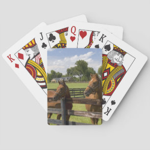 Jeu De Cartes Ferme de chevaux pur-sang dans le comté de Marion,