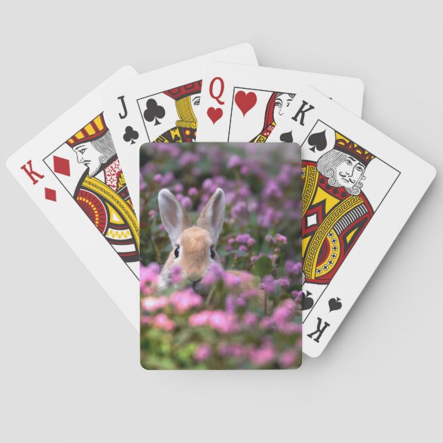 Jeu De Cartes Ferme de lapins (dos)