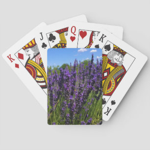 Jeu De Cartes Ferme de Lavender