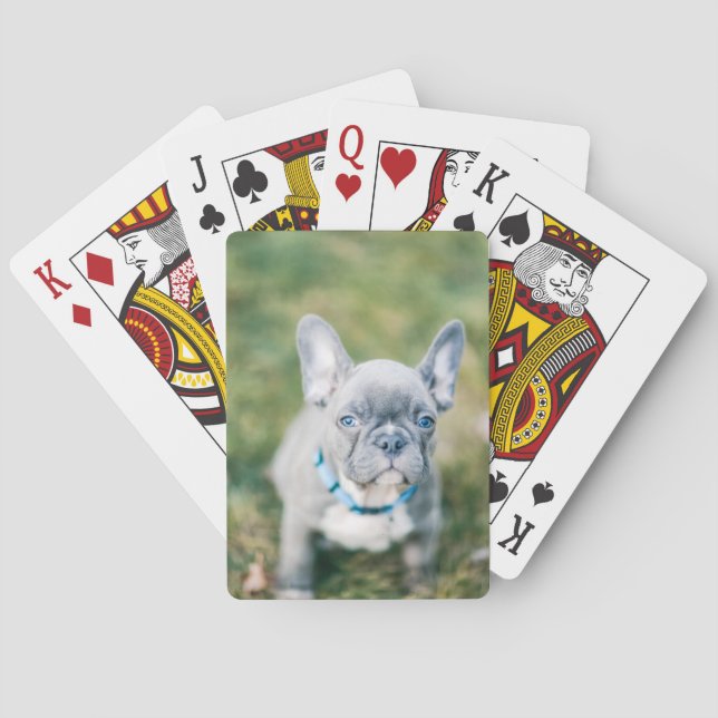 Jeu De Cartes Fermeture d'un chien de taureau français (dos)