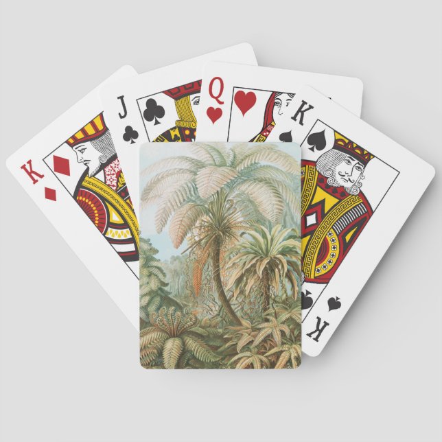 Jeu De Cartes Ferns, Filicinae Laubfarne par Ernst Haeckel (dos)
