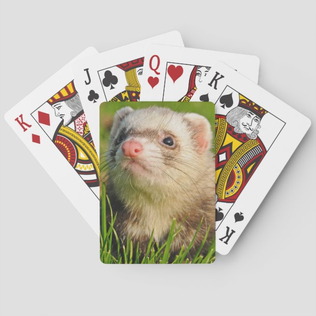 Jeu De Cartes Ferret de sable dans l'herbe (dos)