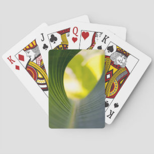 Jeu De Cartes Feuille banane