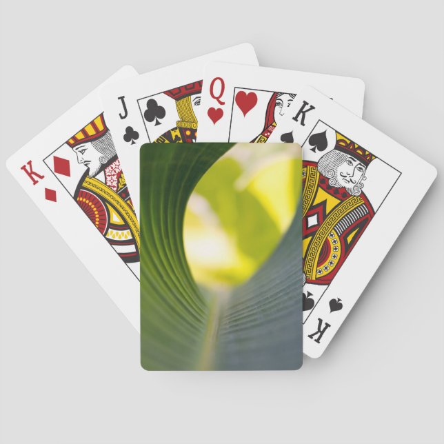 Jeu De Cartes Feuille banane (dos)