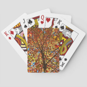 Jeu De Cartes Feux d'artifice d'automne